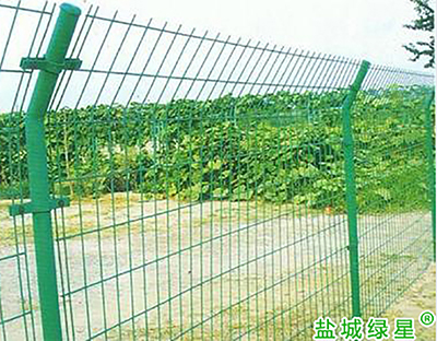 双边丝护栏网厂家